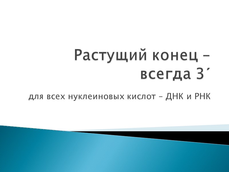 Растущий конец – всегда 3´ для всех нуклеиновых кислот – ДНК и РНК